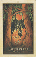 Carte L'Arbre de Feu — Oracle de Gaïa de Toni Carmine Salerno
